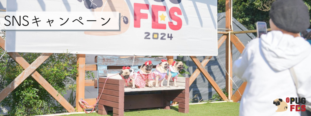 SNSキャンペーン