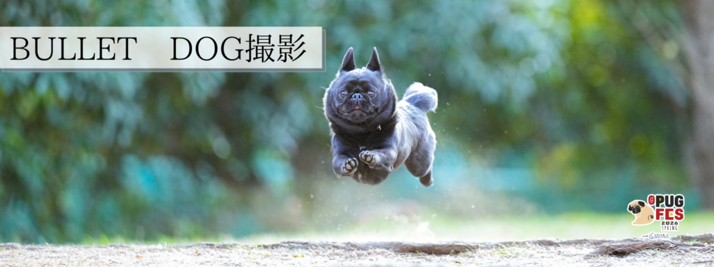 BULLET DOG撮影会