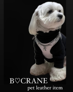 B CRANE