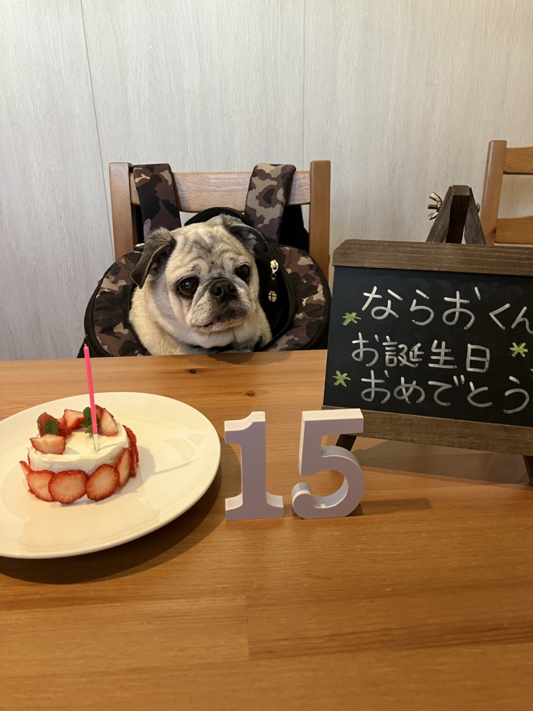 ならおくん