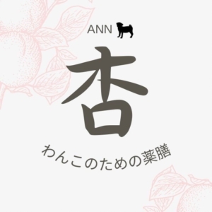 杏