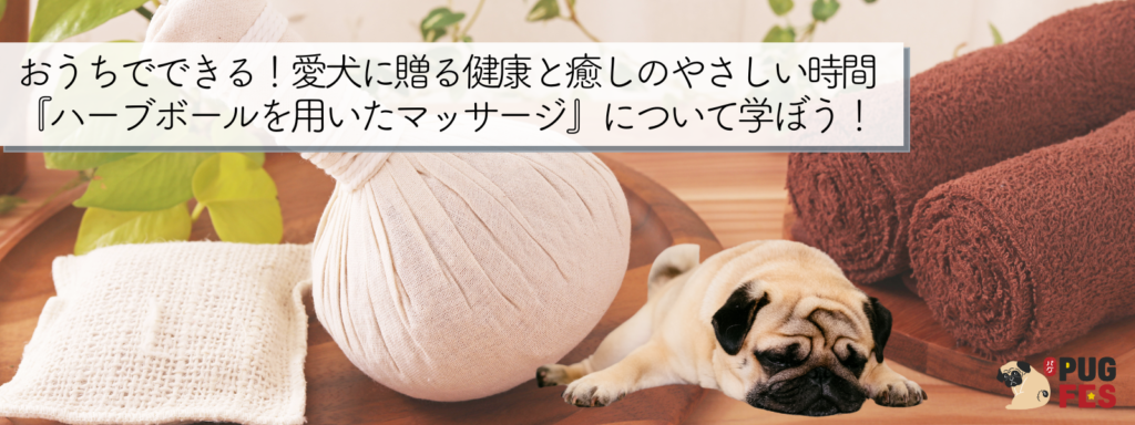おうちでできる！愛犬に贈る健康と癒しのやさしい時間『ハーブボールを用いたマッサージ』について学ぼう！