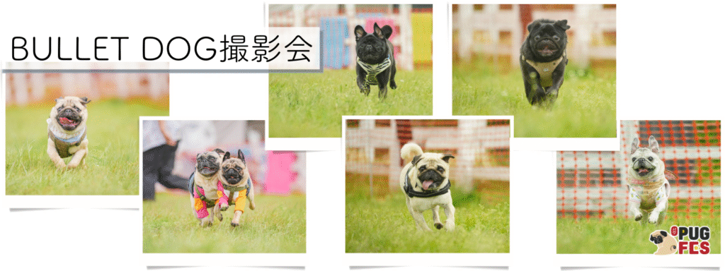 BULLET DOG撮影会
