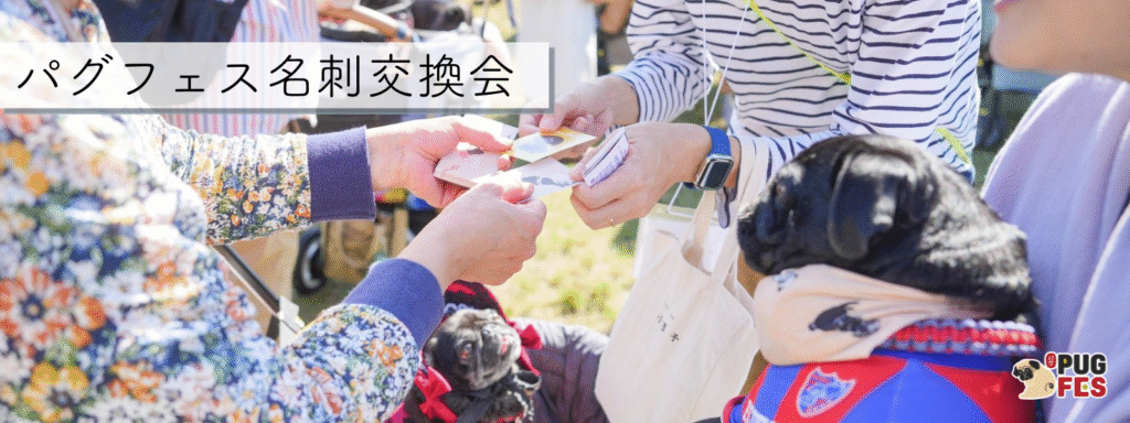 パグフェス名刺交換会