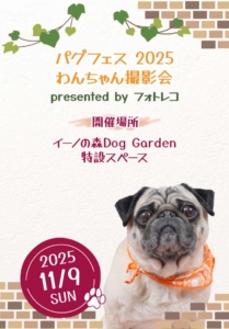 フォトレコペット撮影会