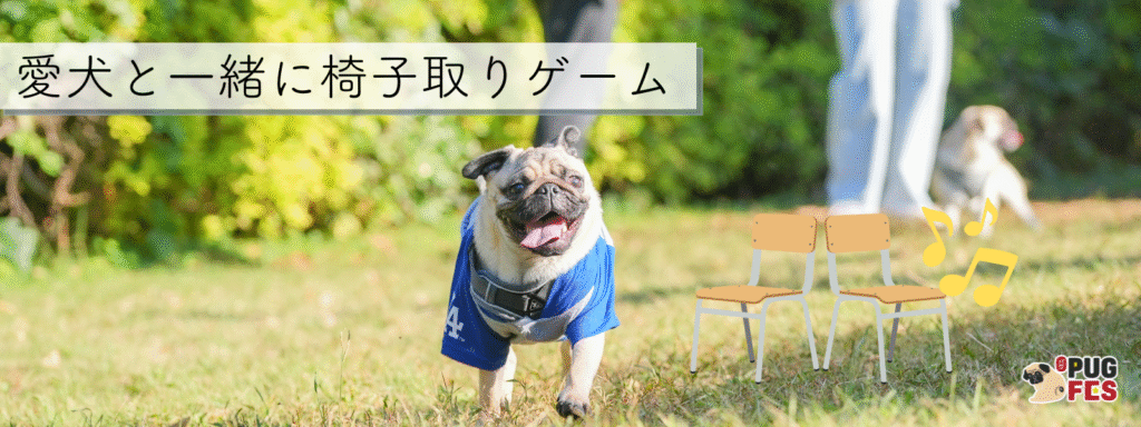 愛犬と一緒に椅子取りゲーム