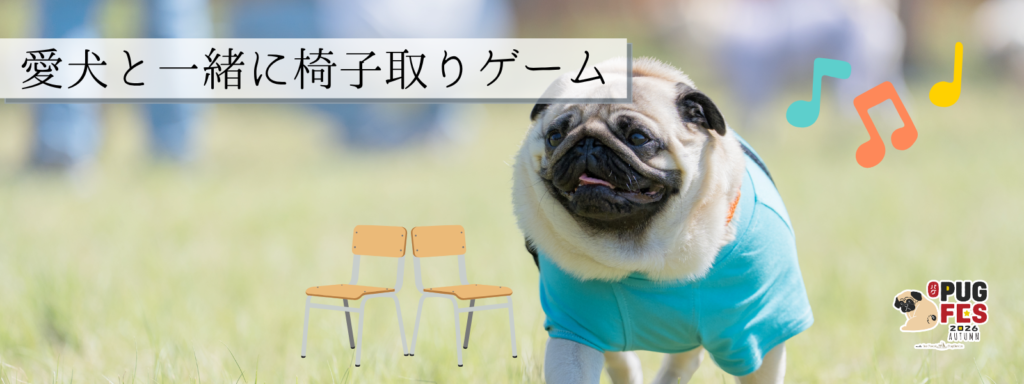 愛犬と一緒に椅子取りゲーム