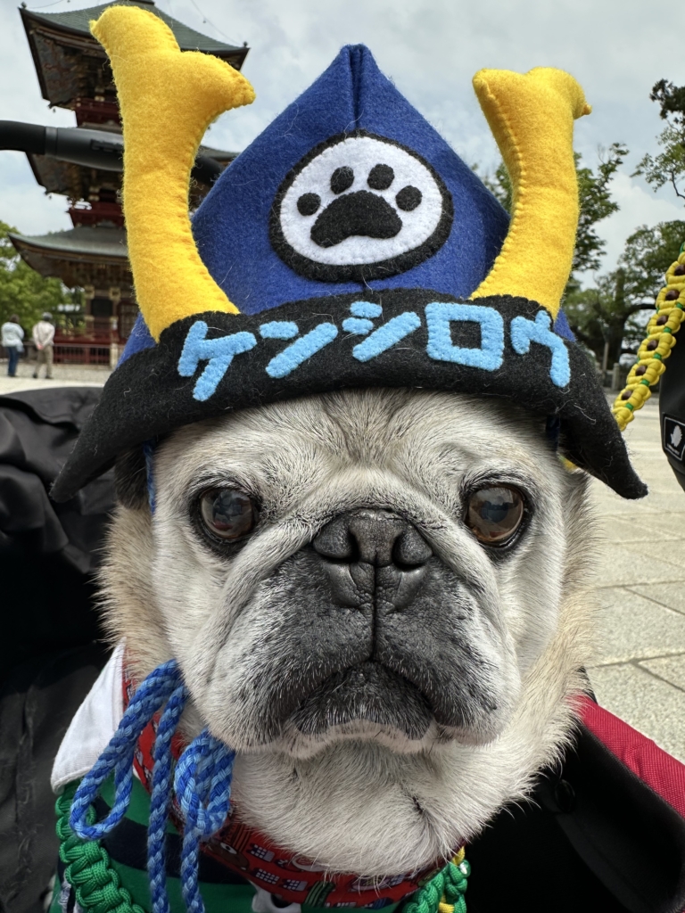 けんしろうくん