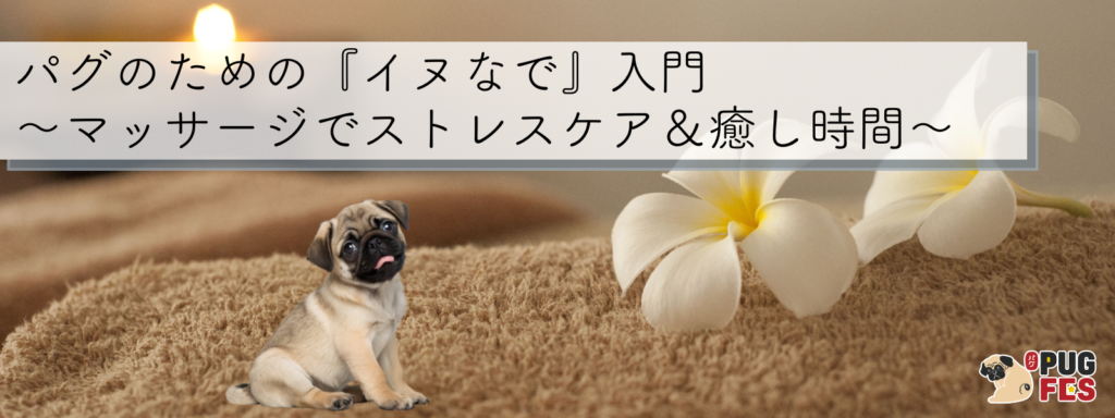 パグのための『イヌなで』入門 〜マッサージでストレスケア＆癒し時間〜