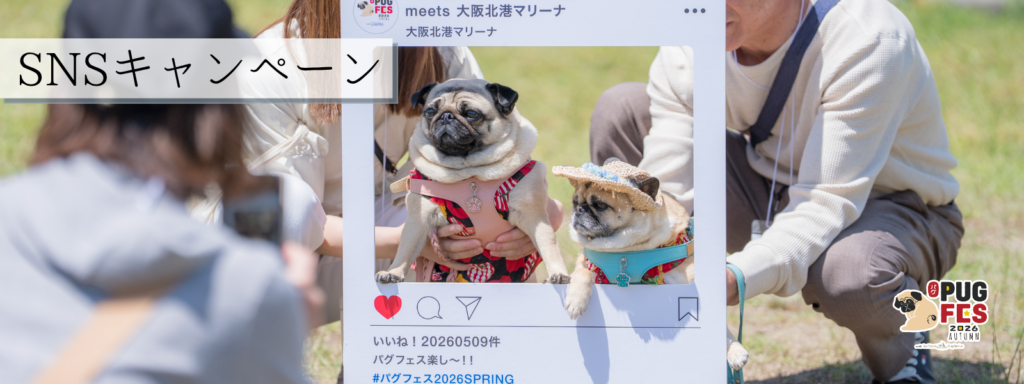 SNSキャンペーン