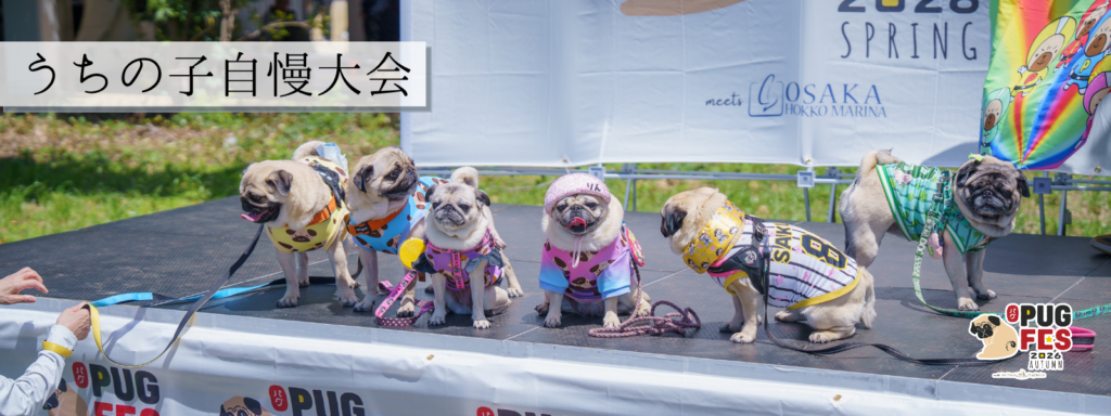 うちの子自慢大会