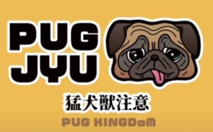 PUG KINGDOM