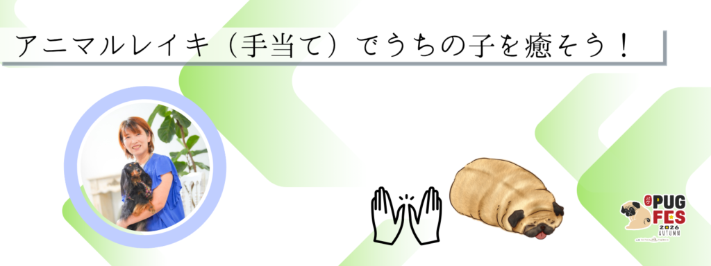 アニマルレイキ（手当て）でうちの子を癒そう！